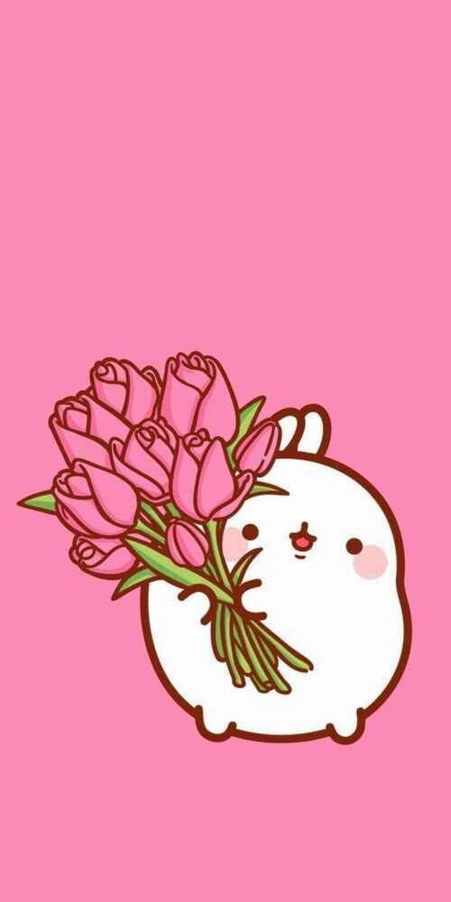 molang-wallpaper-ixpap