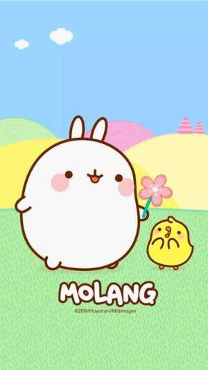 Molang Wallpaper