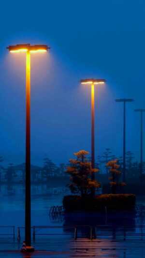 Street Light Wallpaper