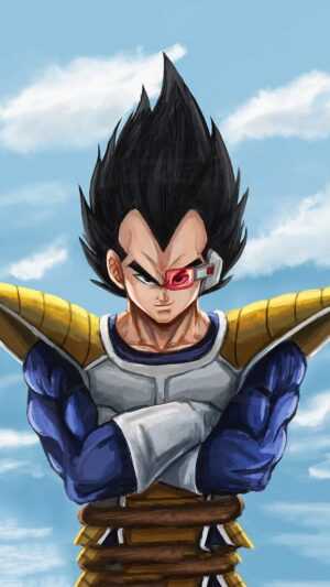 Vegeta Scouter Wallpaper