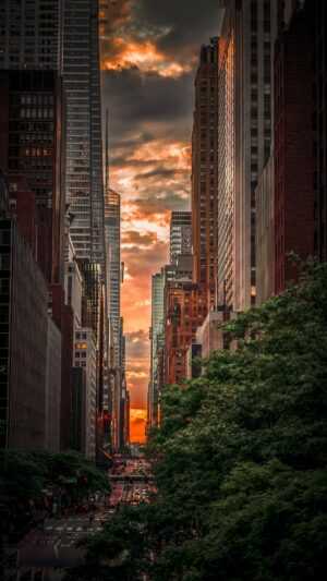 Manhattanhenge Wallpaper