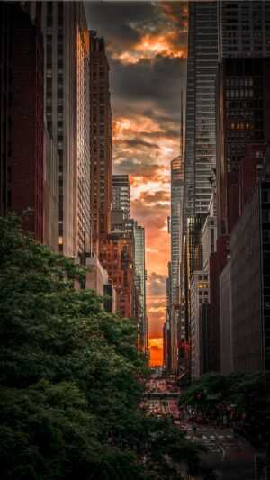 Manhattanhenge Wallpaper