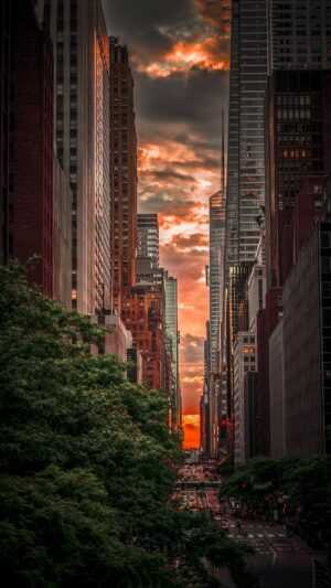 Manhattanhenge Wallpaper