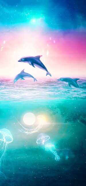 Dolphin Wallpaper