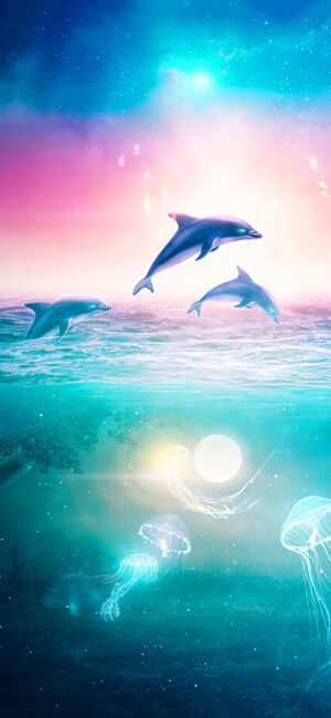 Dolphin Wallpaper