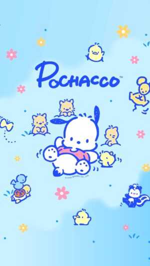 Pochacco Wallpaper