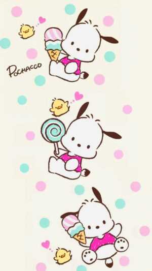 Pochacco Wallpaper