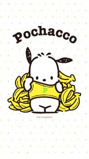 Pochacco Wallpaper