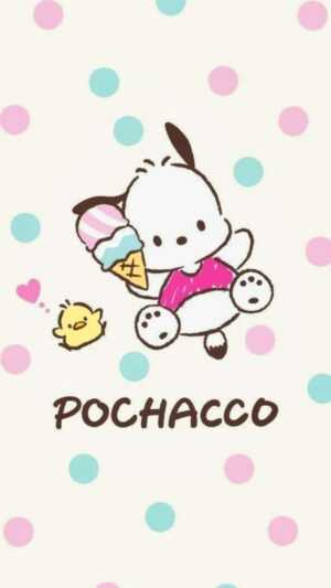 Pochacco Wallpaper