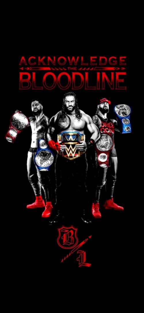 WWE Wallpaper iXpap