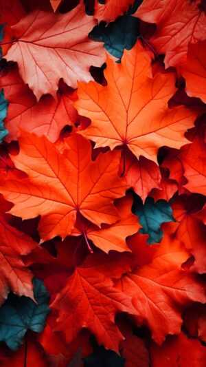 Herbst Wallpaper