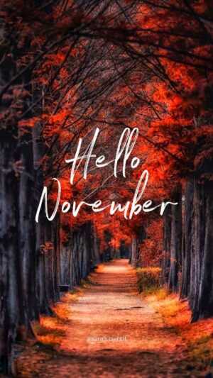 Hello November Wallpaper