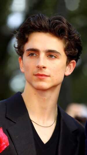 Timothee Chalamet Wallpaper