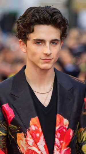 Timothee Chalamet Wallpaper