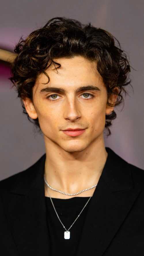 Timothee Chalamet Wallpaper iXpap