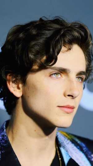 Timothee Chalamet Wallpaper