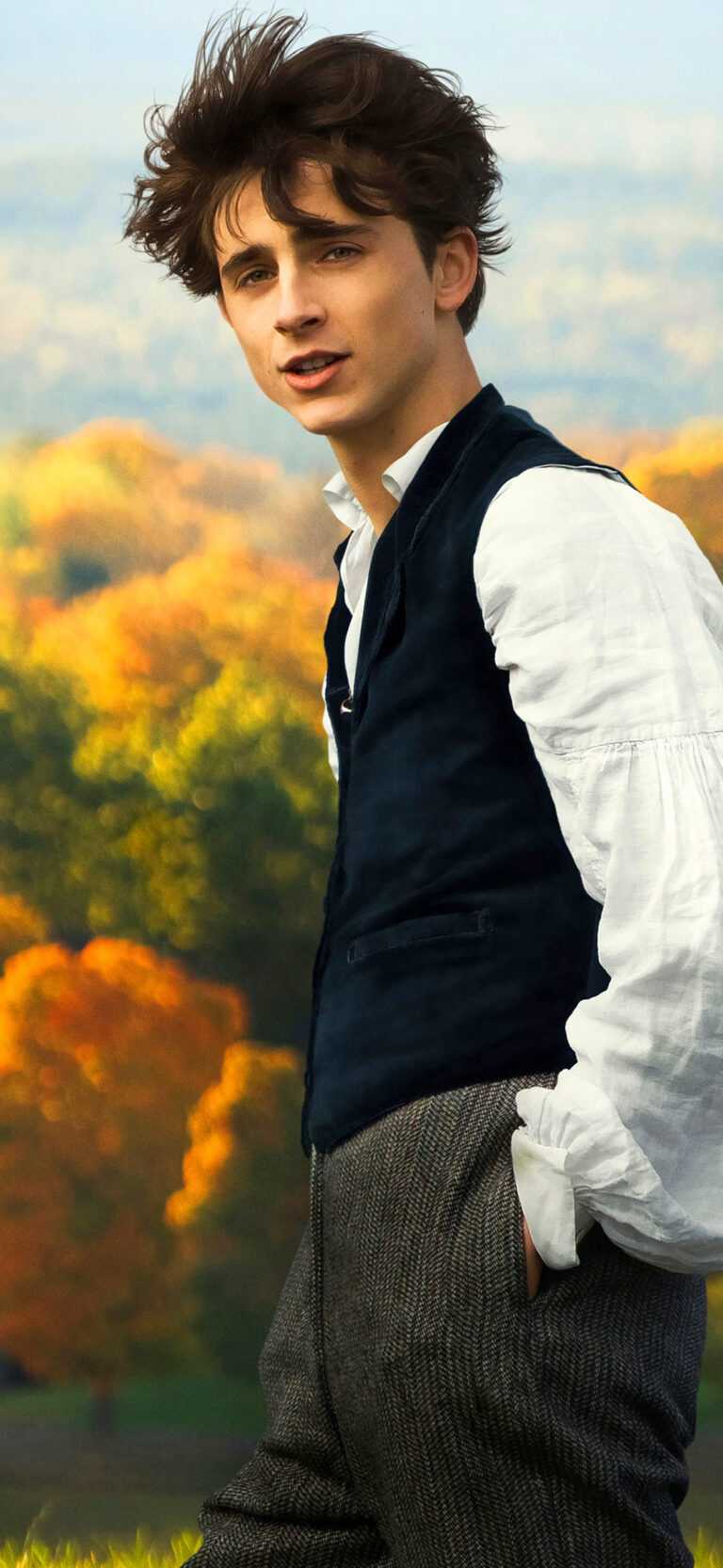 Timothee Chalamet Wallpaper iXpap
