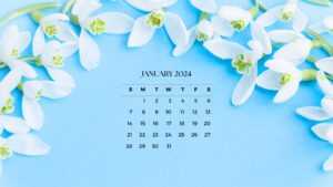 January 2024 Desktop Calendar Wallpaper