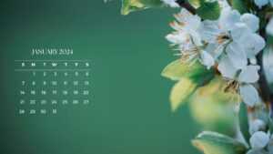 January 2024 Desktop Calendar Wallpaper