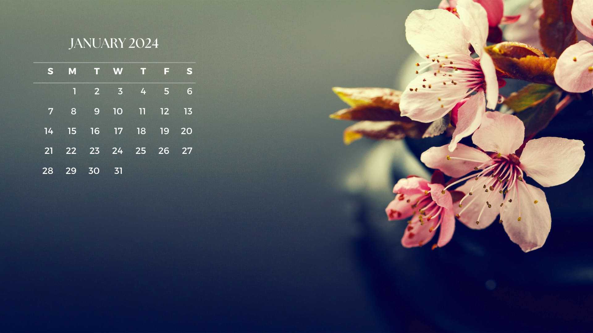 January 2024 Desktop Calendar Wallpaper iXpap