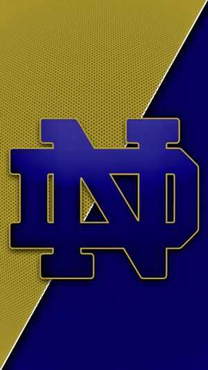 Notre Dame Wallpaper