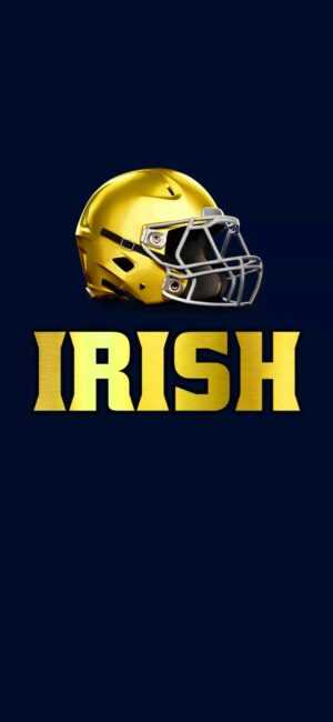 Notre Dame Wallpaper