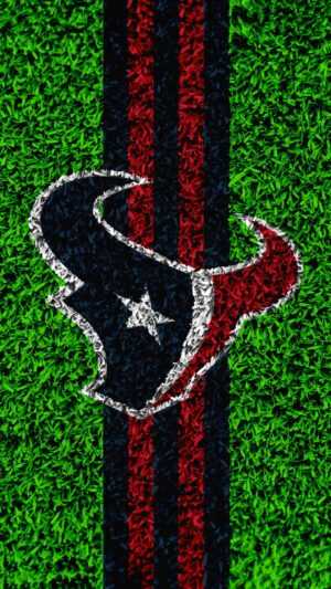 Texans Wallpaper