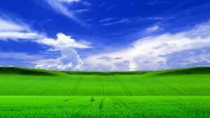 Windows XP Wallpaper