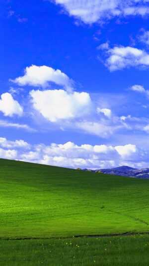 Windows XP Wallpaper