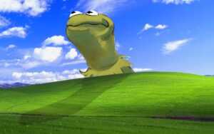 Windows XP Wallpaper