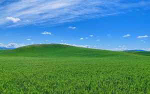 Windows XP Wallpaper