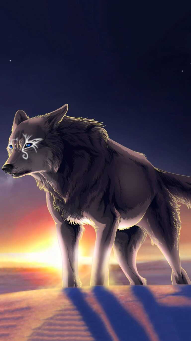 Alpha Wolf Wallpaper - iXpap