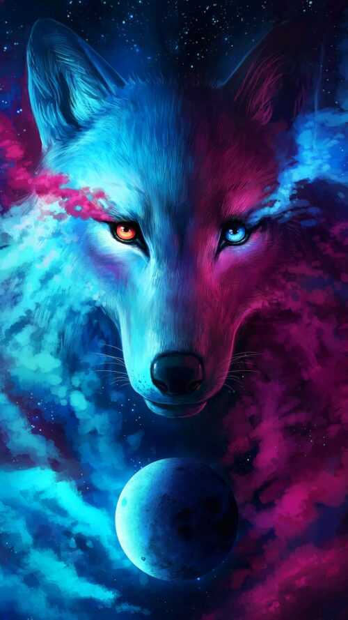 Alpha Wolf Wallpaper iXpap