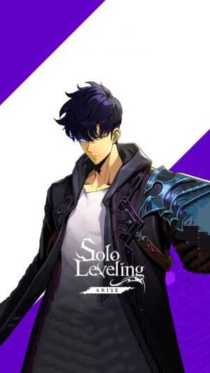 Solo Leveling Arise Wallpaper