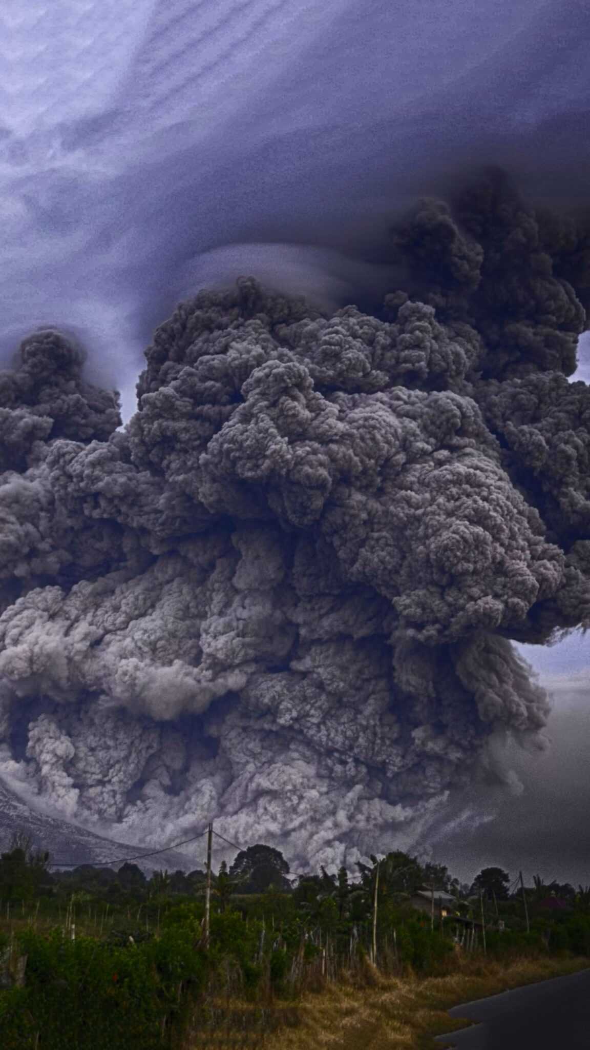 Musiala Wallpaper iXpap