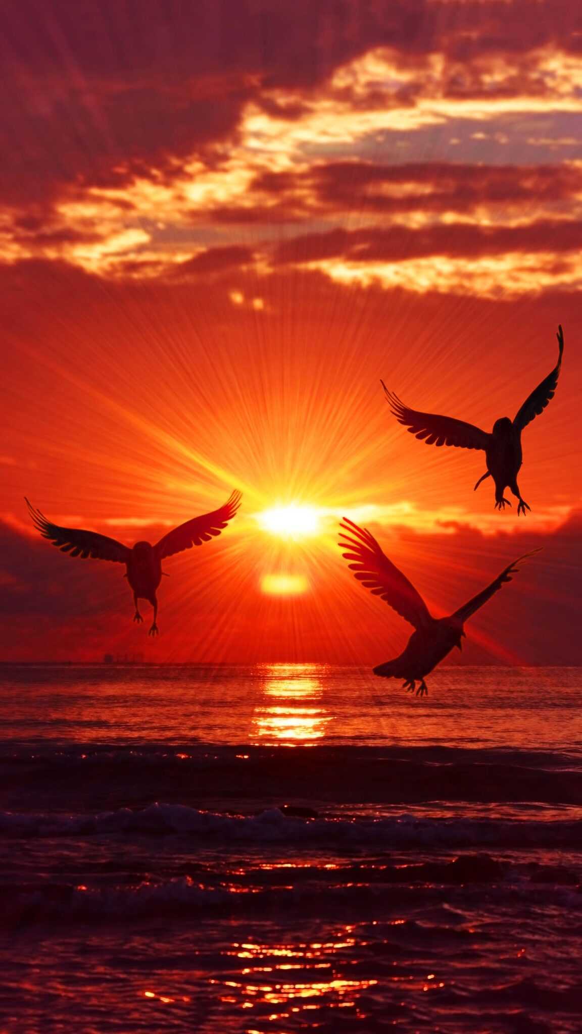 Rising Sun Wallpaper Ixpap