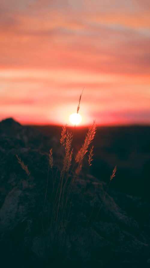 Rising Sun Wallpaper iXpap