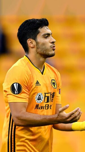 Raul Jimenez Wallpaper