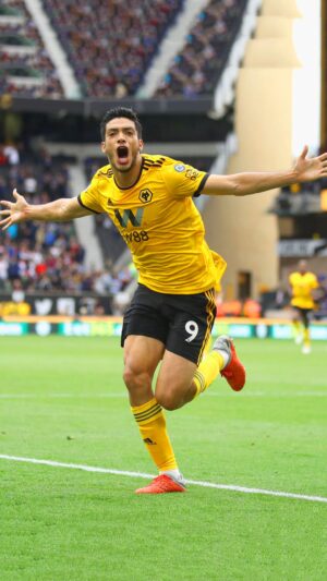 Raul Jimenez Wallpaper