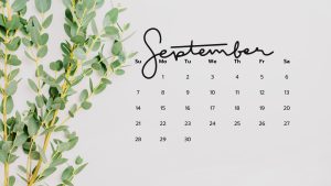 September 2025 Wallpaper