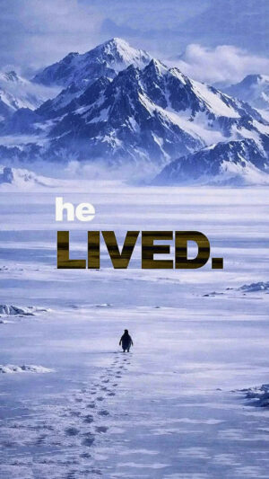 Penguin Mountain Wallpaper Penguin Mountain Wallpaper