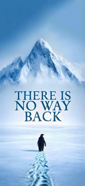 There Is No Way Back Penguin Wallpaper