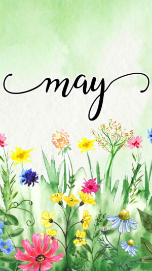 May Wallpaper
