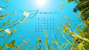 June 2026 Wallpaper