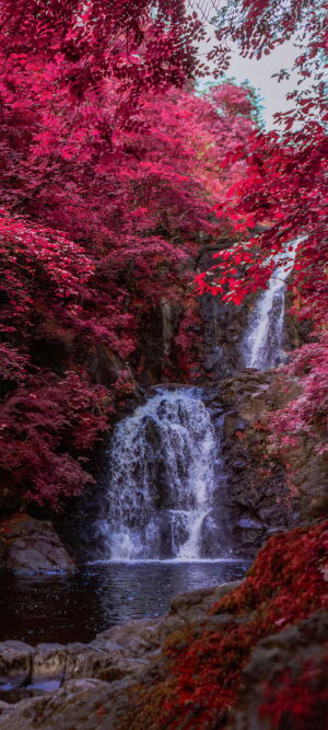 Waterfall Wallpaper