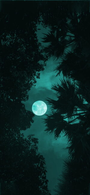 Moon Wallpaper Moon Wallpaper