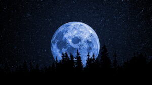 Moon Wallpaper