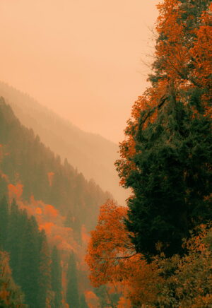 1398×2034 Wallpaper 1398×2034 Wallpaper