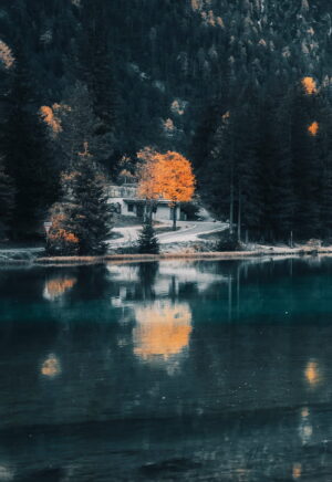 1398×2034 Wallpaper
