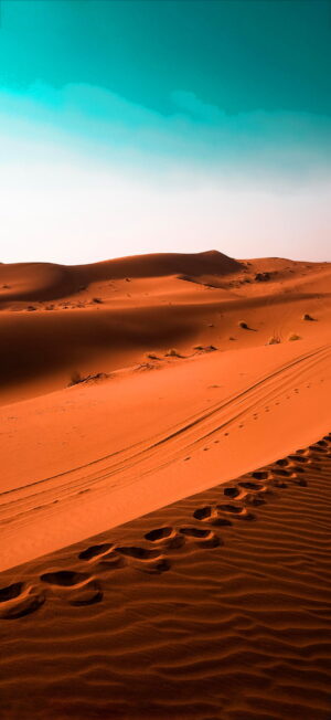 Desert Wallpaper Desert Wallpaper